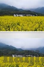 人妻调教监狱学园-探索人妻角色在调教监狱学园中的独特魅力